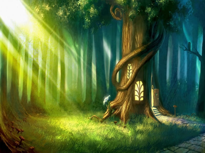 Fototapeta Morgendämmerung in einem magischen Wald