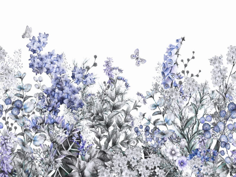 Fototapeta Lila Sommerblumen