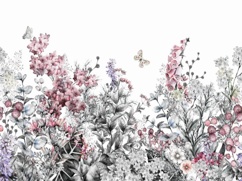 Fototapeta Rosa Sommerblumen