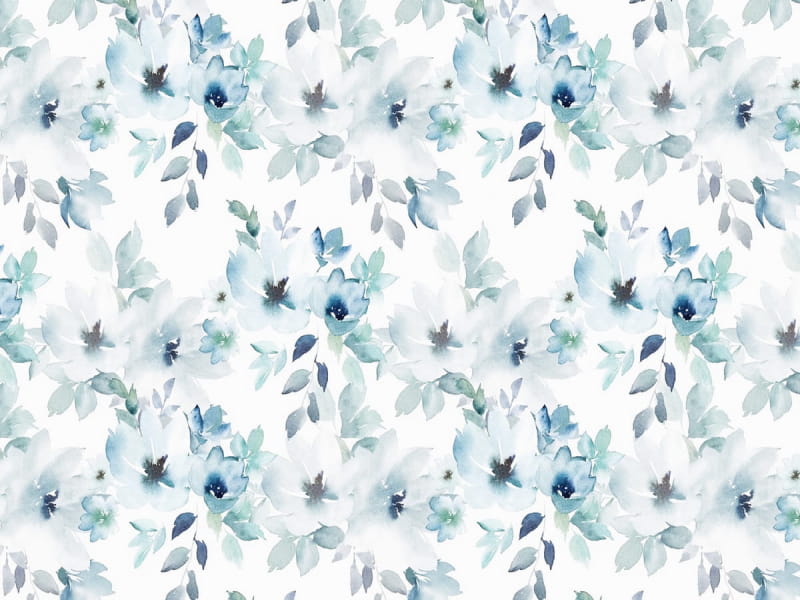 Fototapeta Zarte blaue Blüten