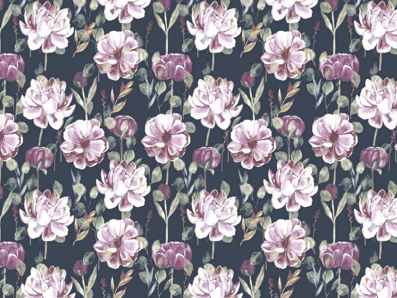Fototapeta Rosen blühen