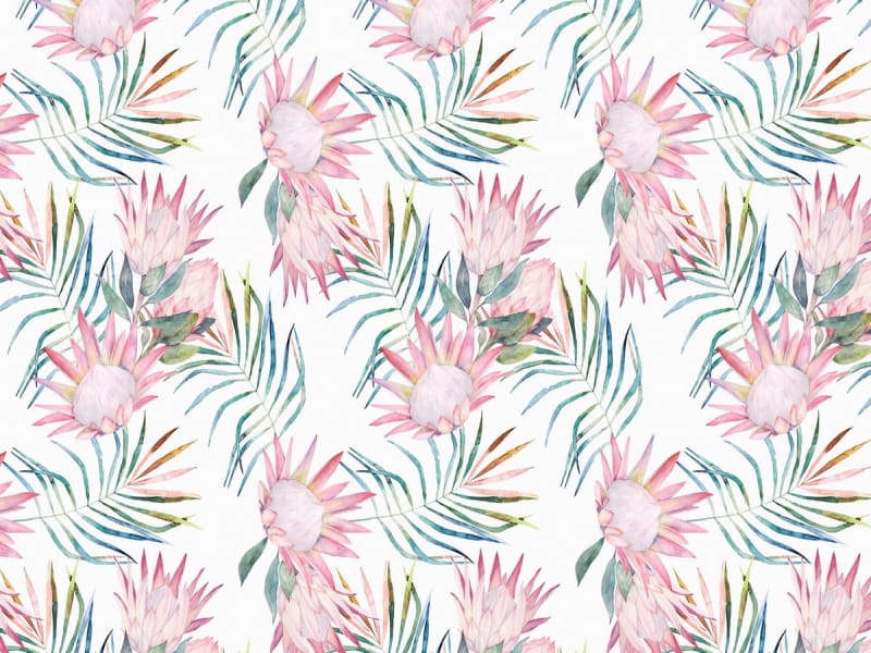 Fototapeta Tropische Morgenblumen