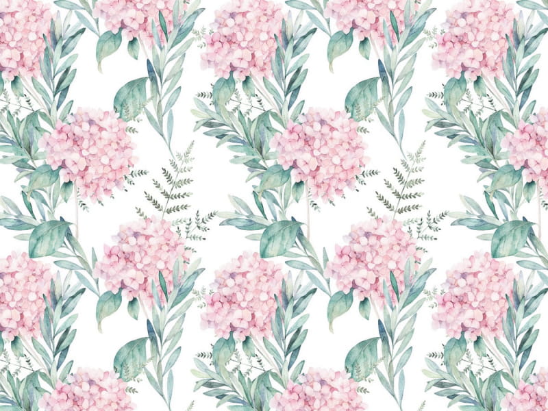 Fototapeta Hortensie