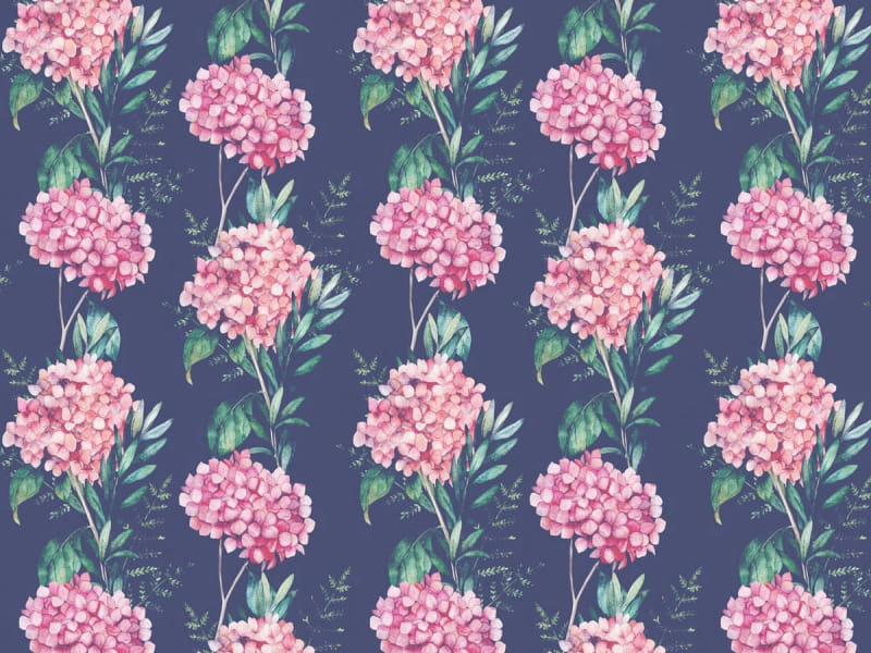Fototapeta Hortensienblüten