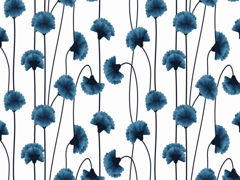 Fototapeta Blaue Nelken