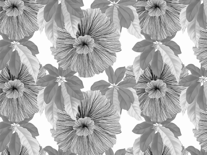 Fototapeta Graue Passionsblume