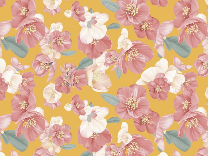 Fototapeta Blumen auf orangefarbenem Hintergrund