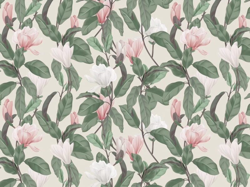 Fototapeta Zarte Magnolie