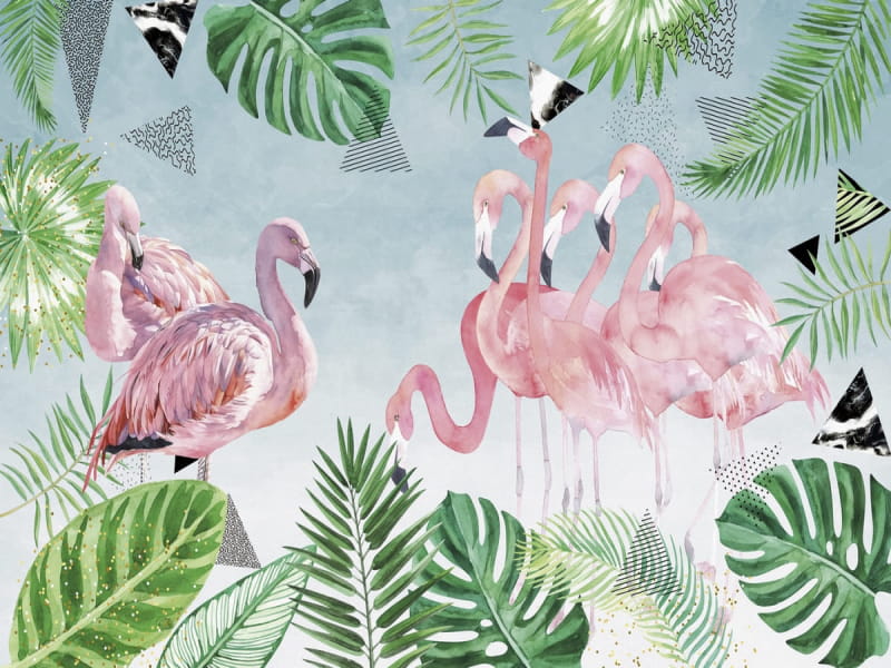 Fototapeta Flamingos in den Tropen