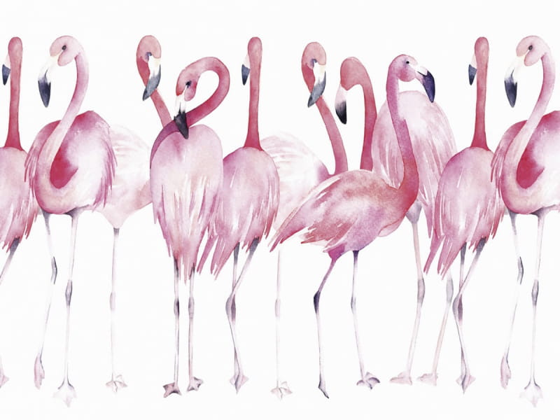 Fototapeta Rosa Flamingos