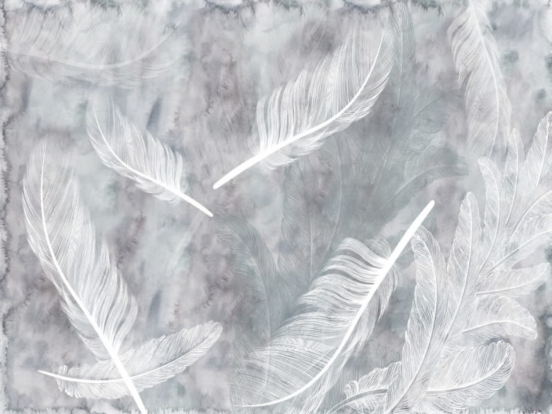 Fototapeta Vogelfedern