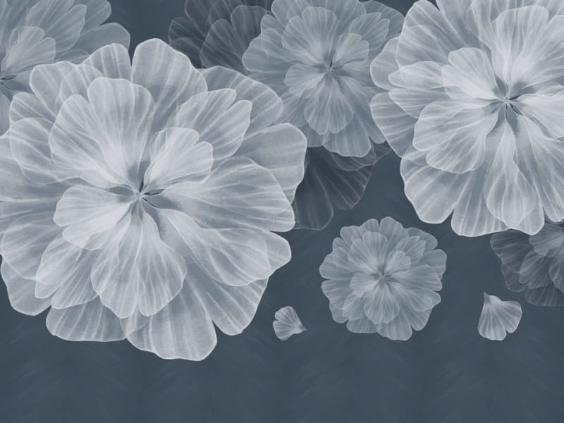 Fototapeta Zarte weiße Blüten