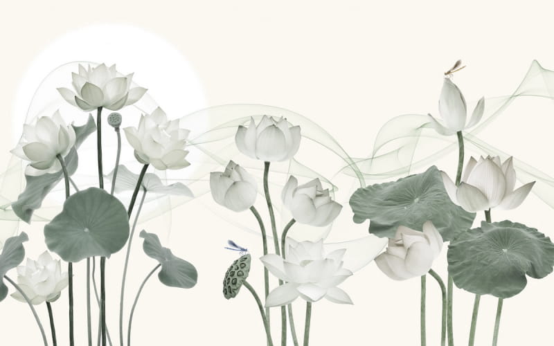 Fototapeta Blühender Lotus