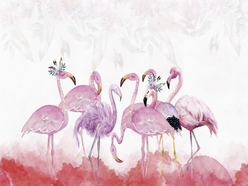 Fototapeta Zarte rosa Flamingos