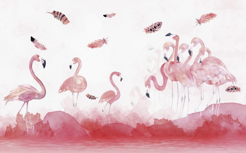 Fototapeta Majestätische Flamingos