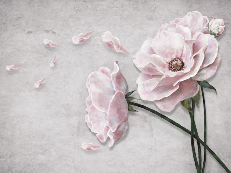 Fototapeta Zarte Teerose 3D
