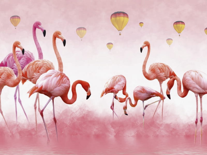 Fototapeta Flamingo im nebligen Dunst