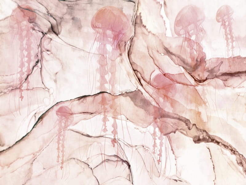Fototapeta Rosa Qualle
