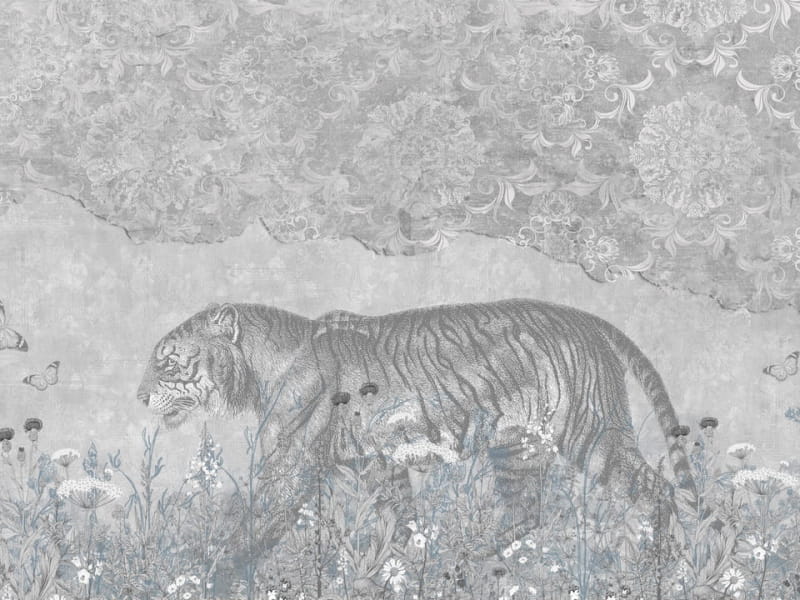 Fototapeta Amur-Tiger