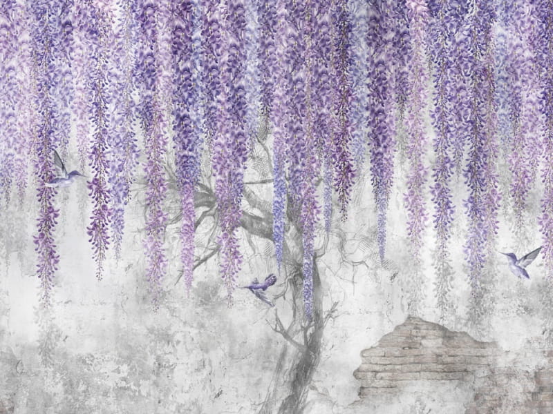 Fototapeta Blühende lila Glyzinien