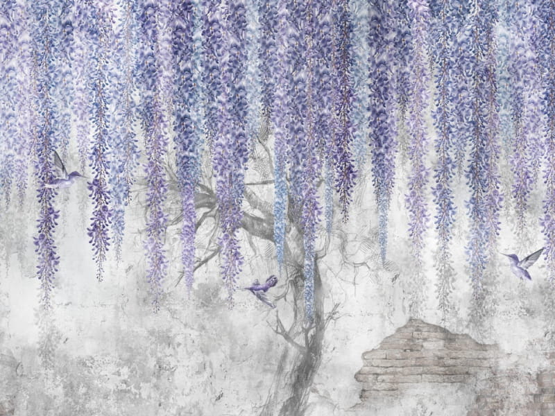 Fototapeta Nachtblüte der Glyzinien