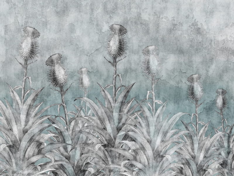 Fototapeta Schottische Distel