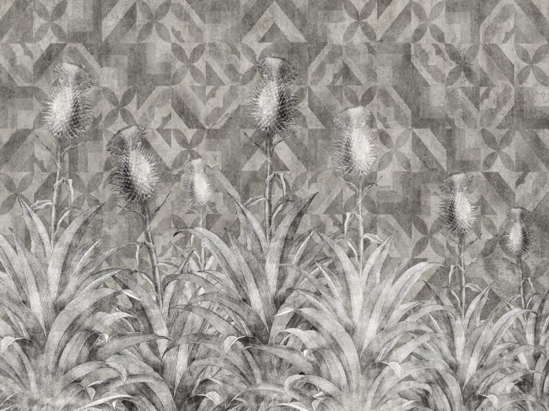 Fototapeta Kontinuierliche Blüte