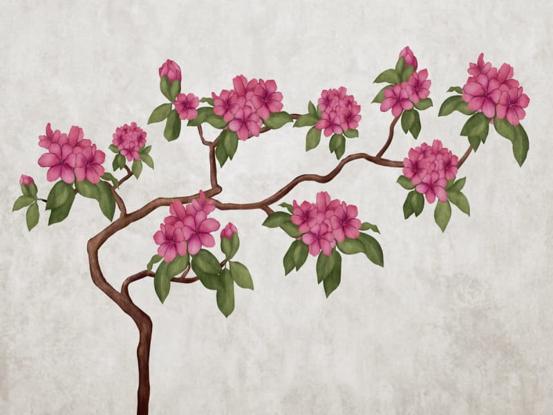 Fototapeta Magnolienbaum