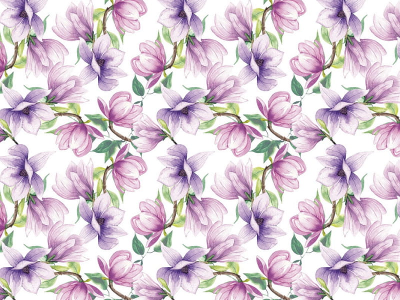 Fototapeta Herrliche Magnolienblüten