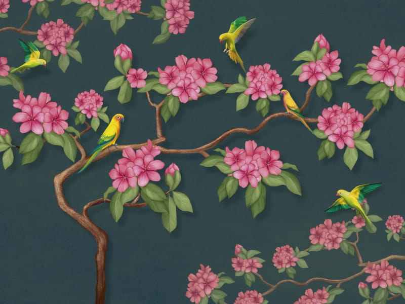Fototapeta Blühende zarte Magnolie