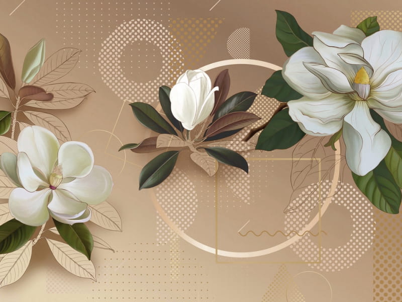 Fototapeta Magnolie immergrün