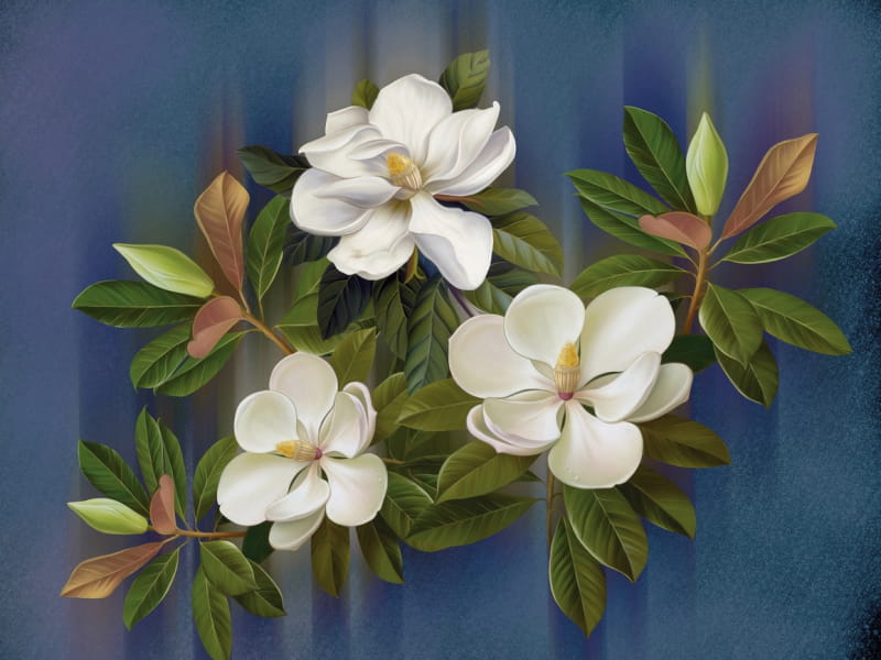 Fototapeta Frühlingsblumen
