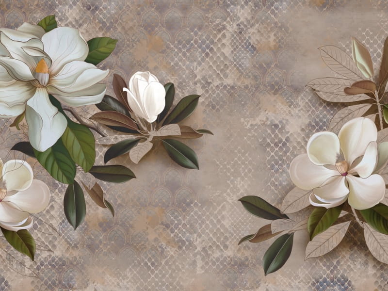 Fototapeta Südliche Magnolie