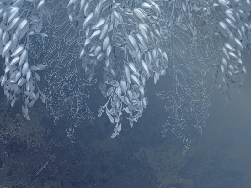 Fototapeta Blaue Blumen