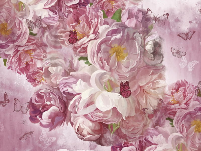 Fototapeta Rosa Pfingstrose