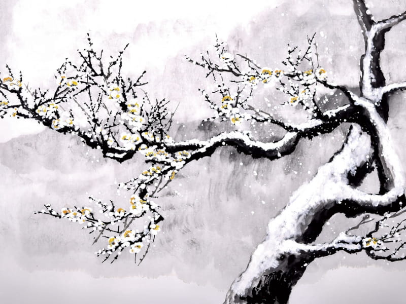 Fototapeta Baum im Schnee