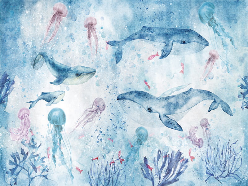 Fototapeta Reise des Blauwals