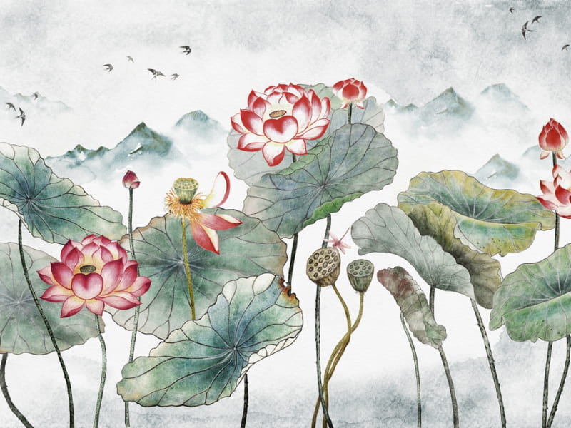 Fototapeta Rosa Lotusblumen