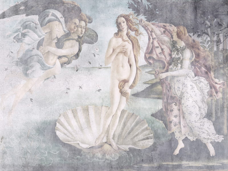 Fototapeta Anmutige Geburt der Venus 