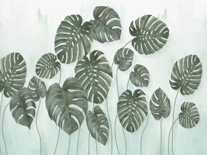 Fototapeta Monstera-Zeichnung