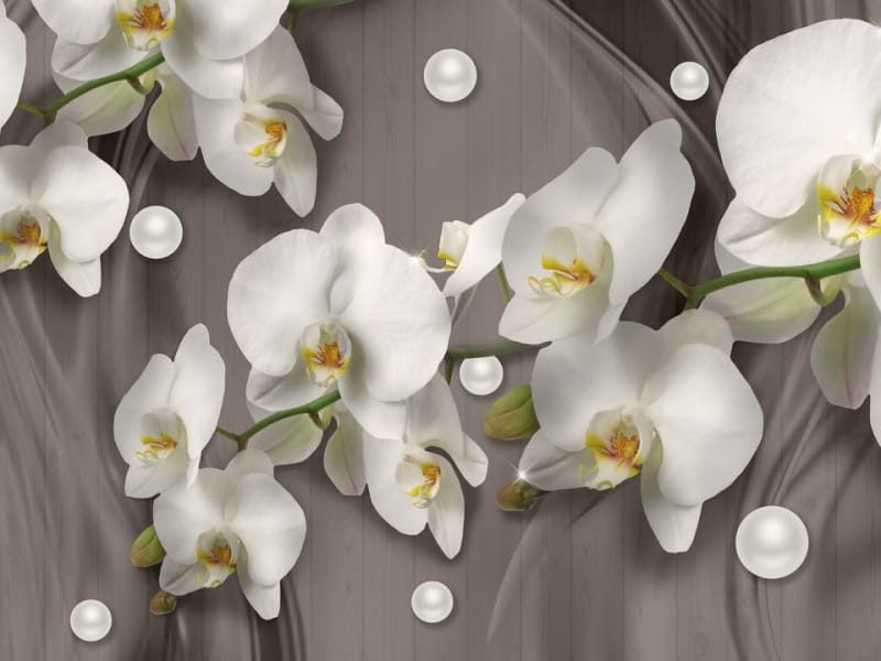 Fototapeta Weiße Orchideen 3D