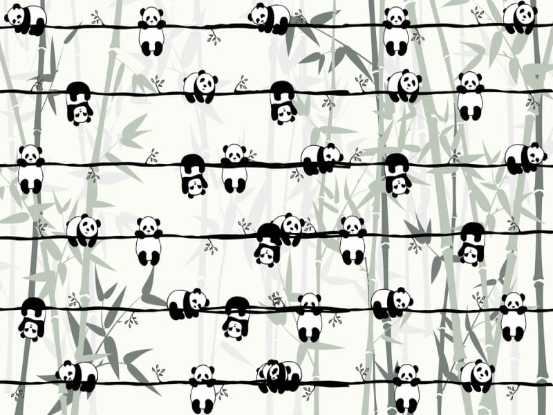 Fototapeta Pandas