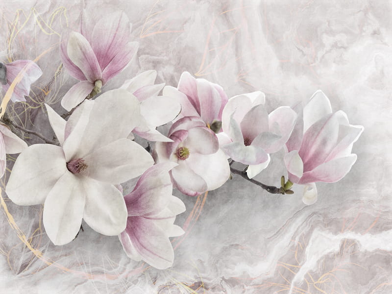 Fototapeta Rosa Magnolie 3D