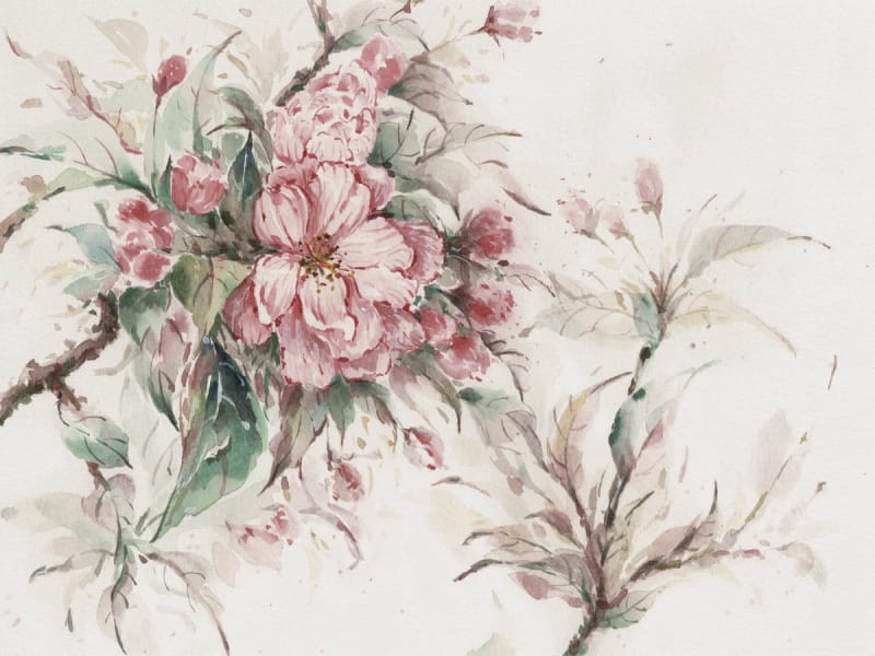 Fototapeta Apfelblüte