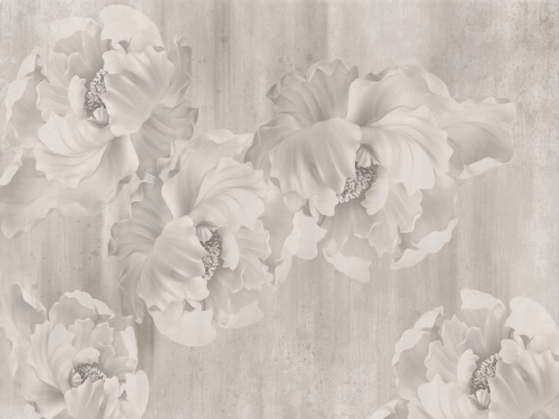 Fototapeta Wunderschöne zarte Blumen