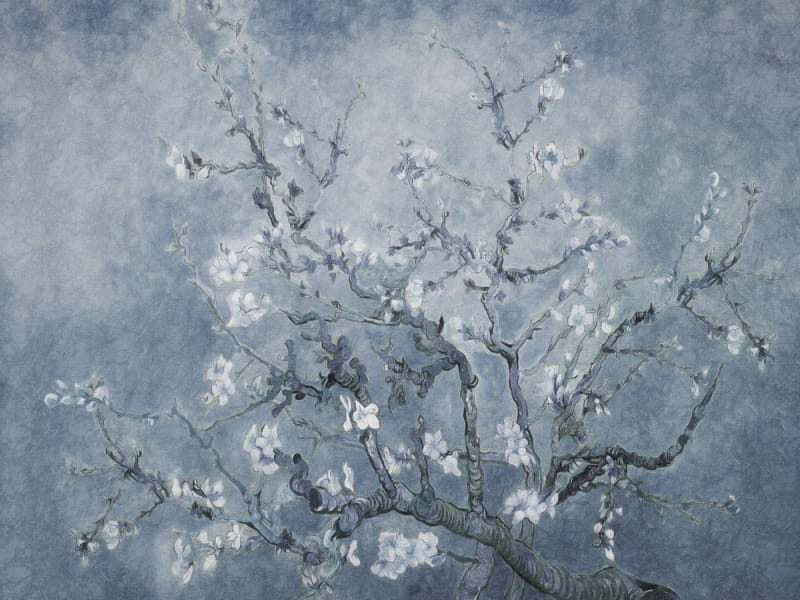 Fototapeta Mandelblüte