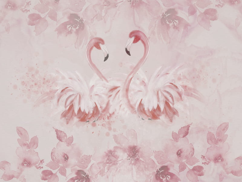 Fototapeta Zwei Flamingos
