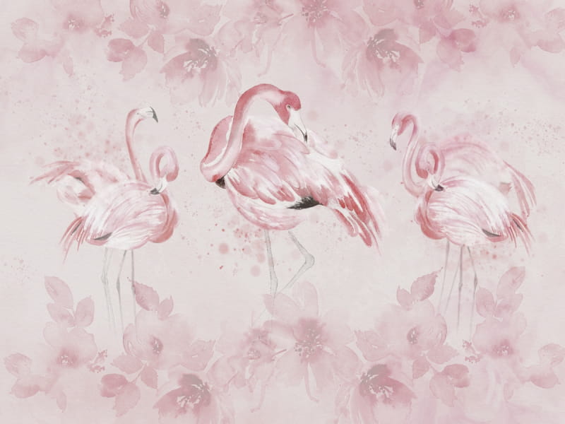 Fototapeta Die Schönheit der Flamingos