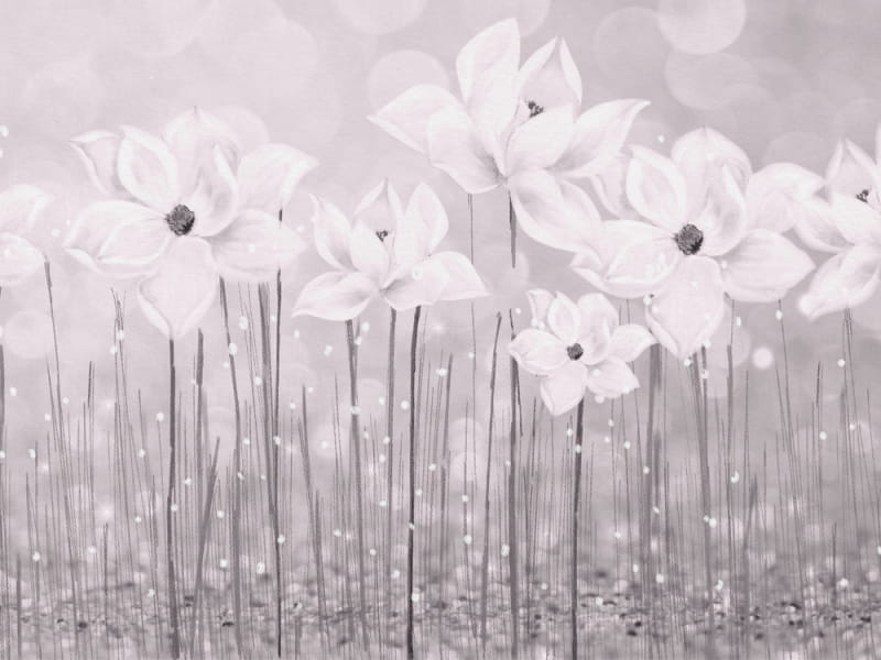 Fototapeta Mondblumen