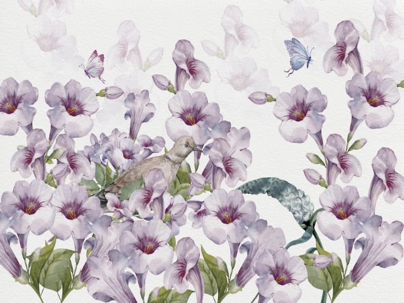 Fototapeta Wunderschöne lila Blüten